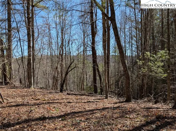 Lot 4 Running Cedar Lane, Crumpler, NC 28617