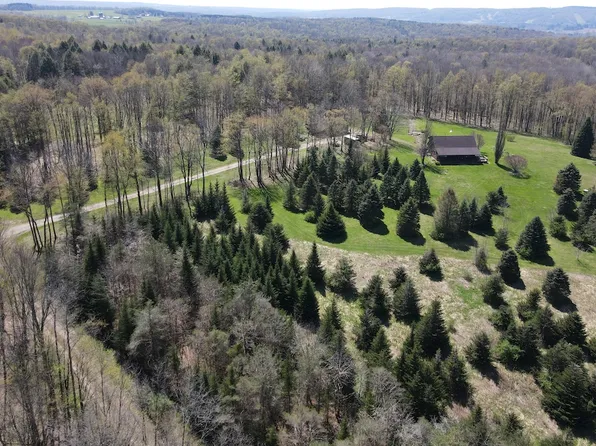 9467 Reagan Rd, Clymer, NY 14724