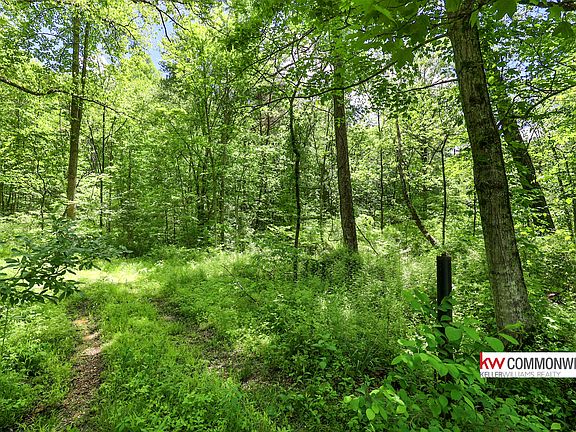 5th image of 9999 Long Branch Rd