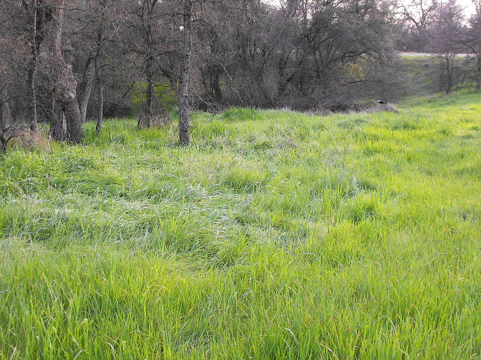 1st image of 10356 Tulipan Way
