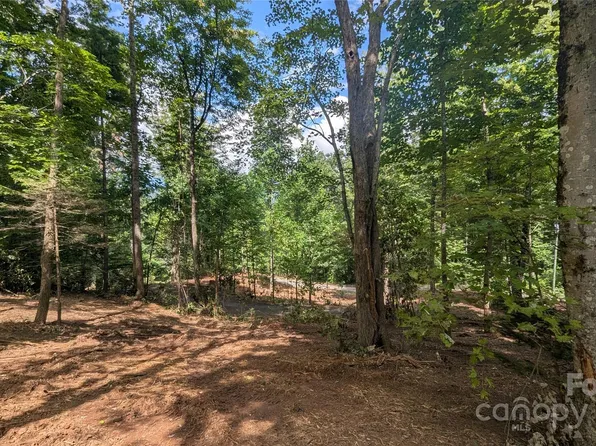 707 Apple Tree Ct #32, Waynesville, NC 28786