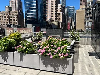 247 W 46th St #207 — Photo 10