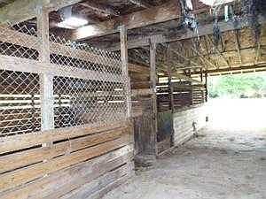 stalls view 2
