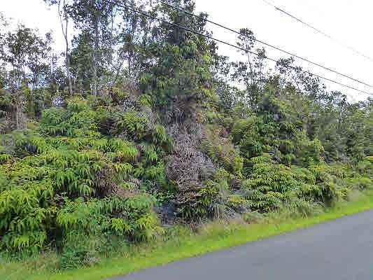 2nd image of Nahelenani St