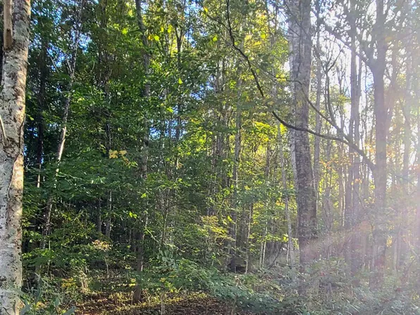 277 Little Mountain Dr, Hillsboro, WV 24946