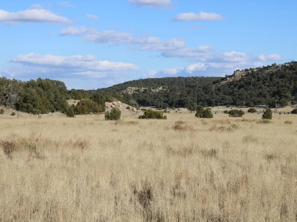 Datil Rnch, Datil, NM 87821