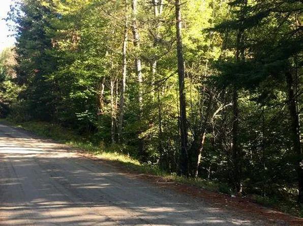 0 Thissell rd, Bakers Mills, NY 12843