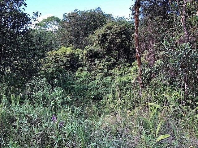 2nd image of Uau Road Rd #5-lot 3954