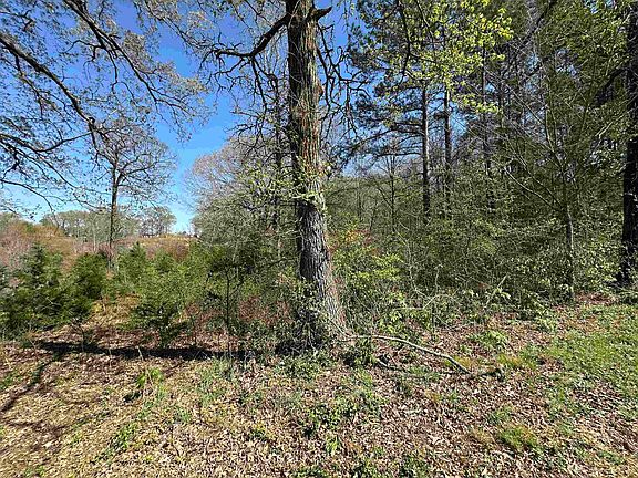 4th image of 834 County Road 1225