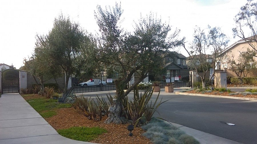 2nd image of 1007 Topaz Ln