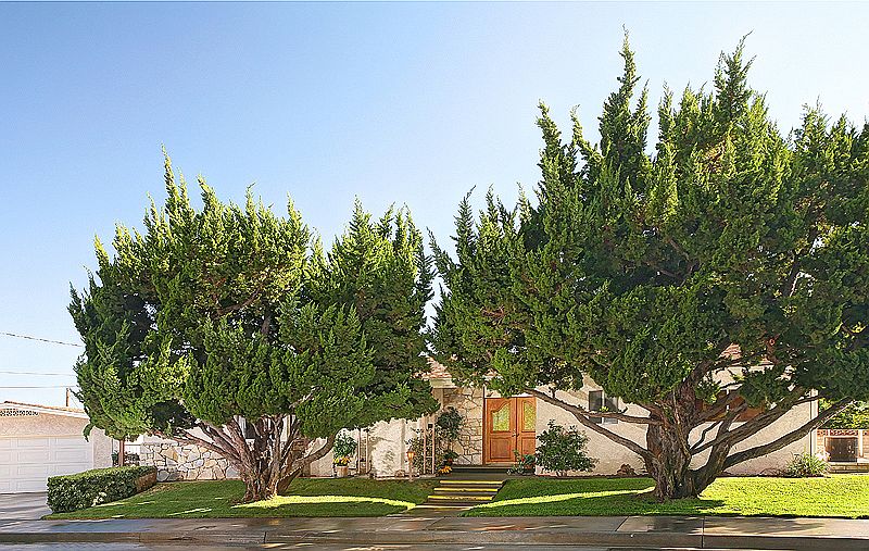 1st image of 3650 Burritt Way