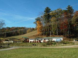 2461 Double Island Rd, Green Mountain, NC 28740