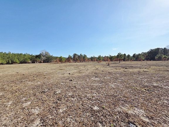 5th image of 5 Pompey Rd