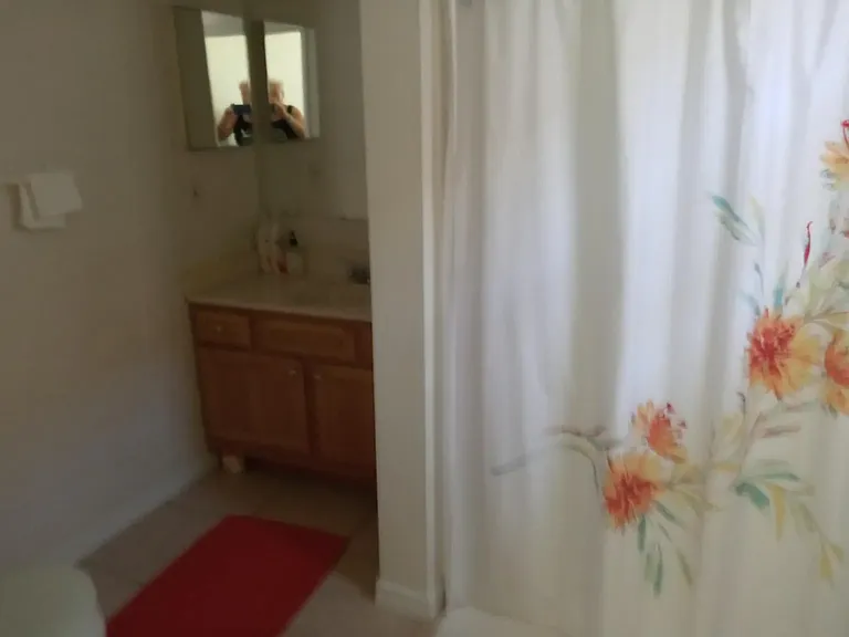 Master Bath, walk-in shower
