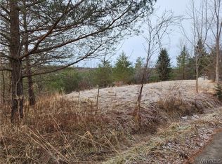 10586 Springville Boston Rd #4, Springville, NY 14141