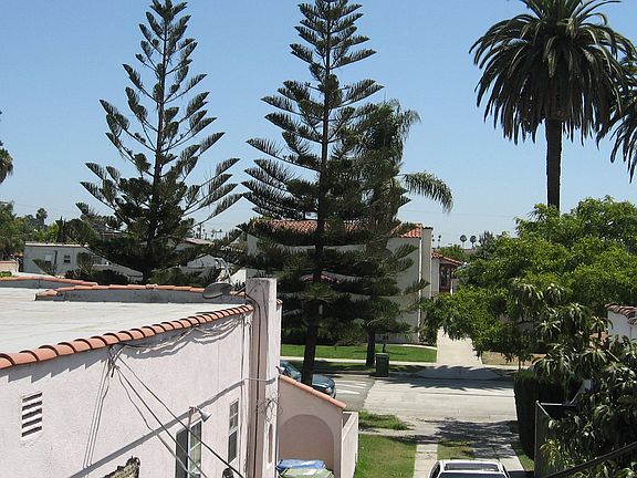 View from living room window