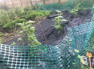 304 S East St, Towanda, IL 61776