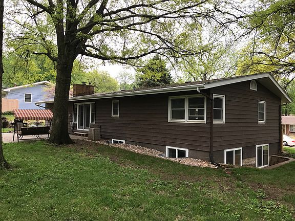Low maintenance back yard