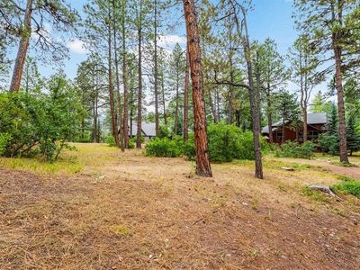 345 Rockwood Drive, Durango, CO, 81301
