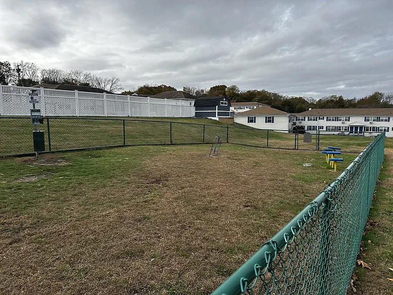 Royal Cove — Photo 26