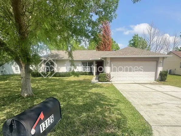 13125 Baneberry Ct, Clermont, FL 34711