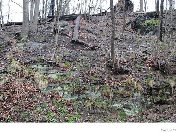 2nd image of 0 Ridge Road