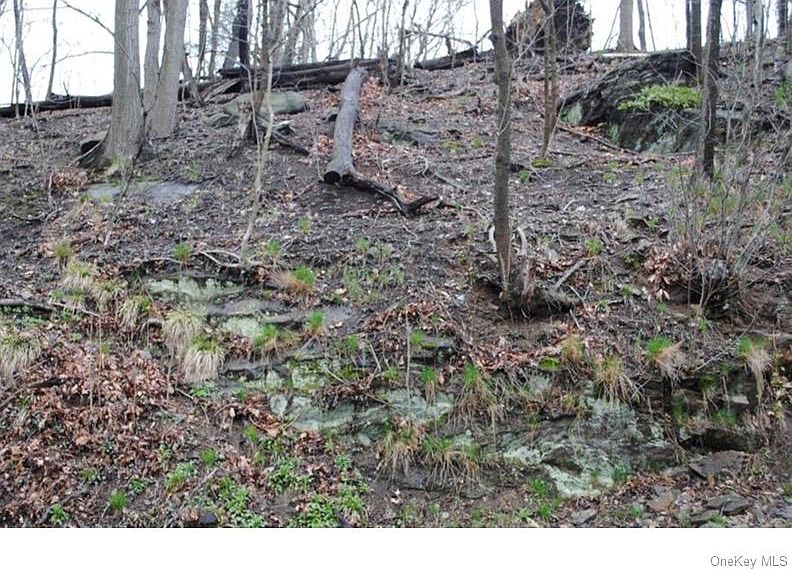 2nd image of 0 Ridge Road