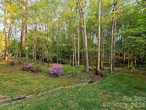 3rd image of 146 Misty Spring Rd