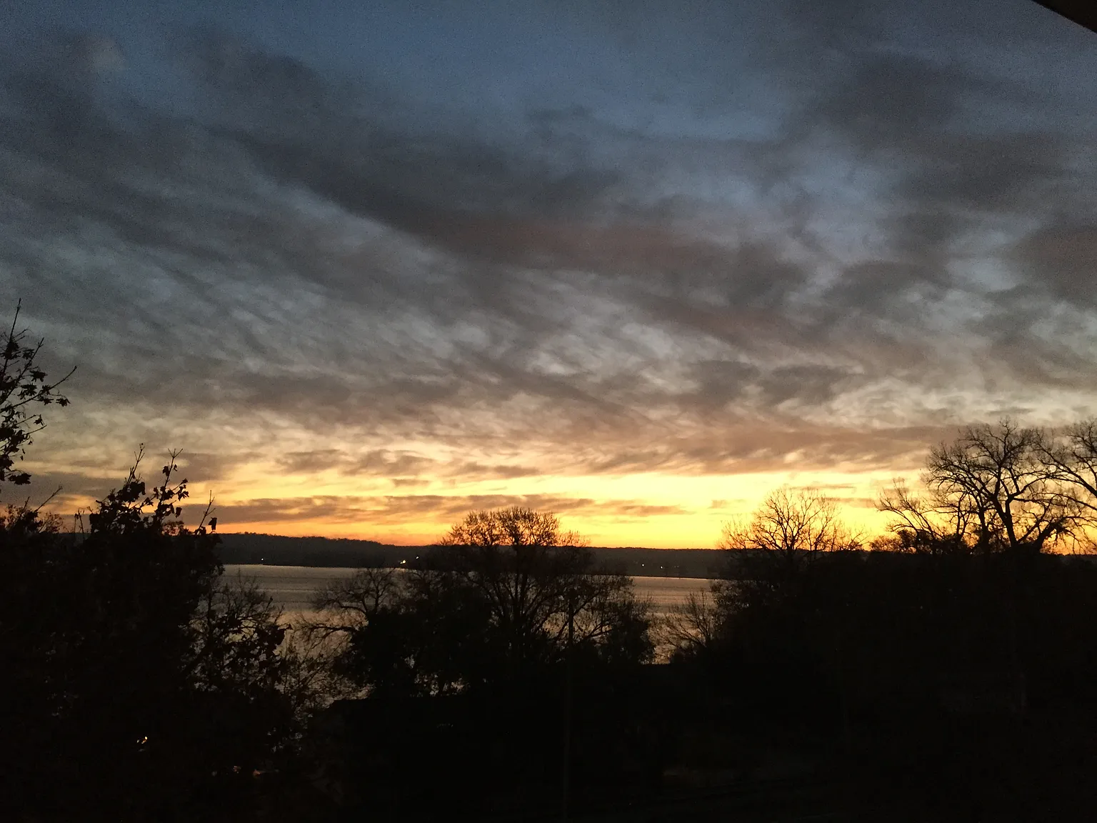 1 bed, 600 sqft, $890 — Photo 1