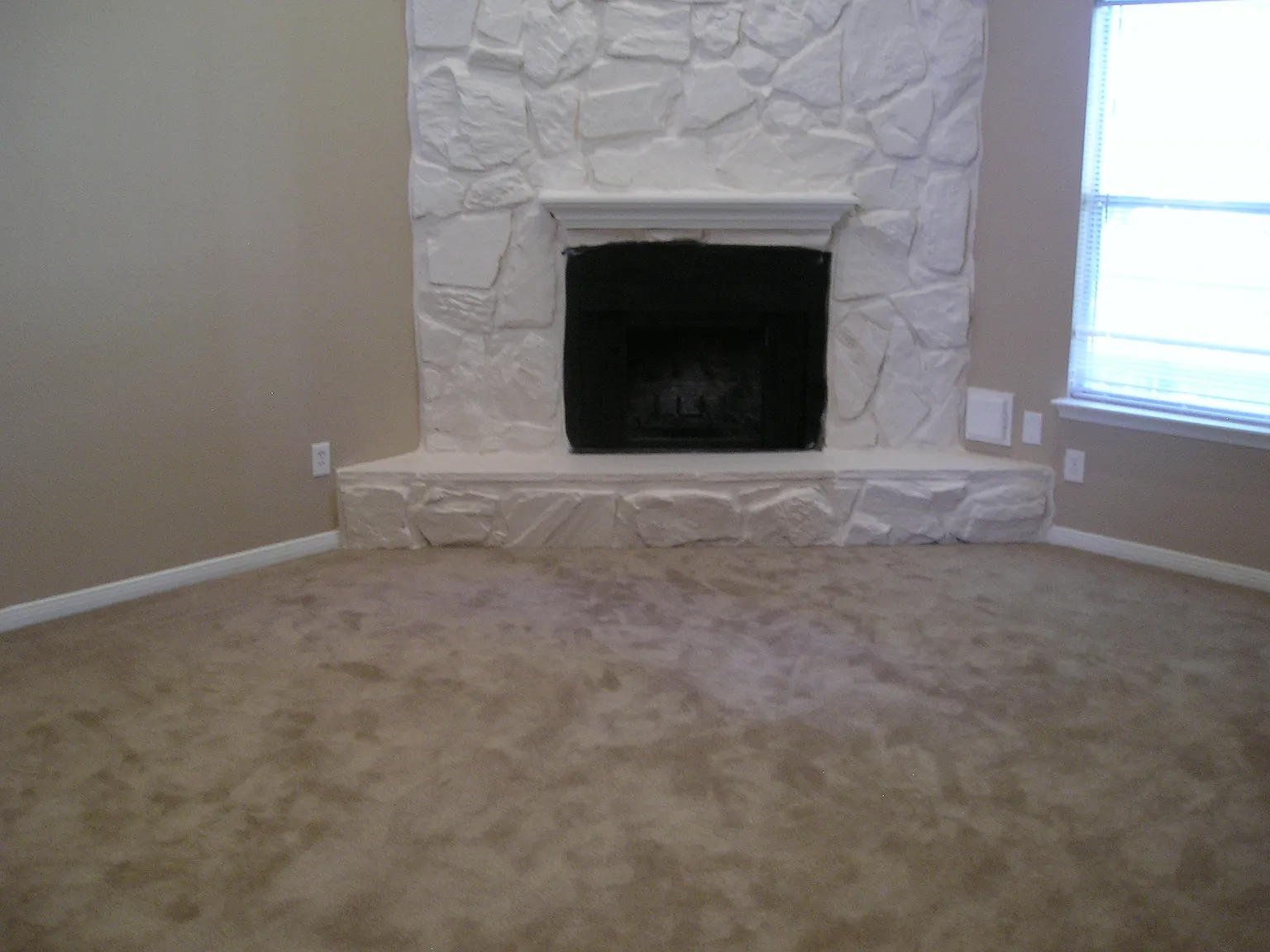 Twisted Pine #B - 5810 - 1 — Photo 2