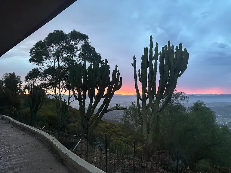 121 Washingtonia Dr — Photo 1