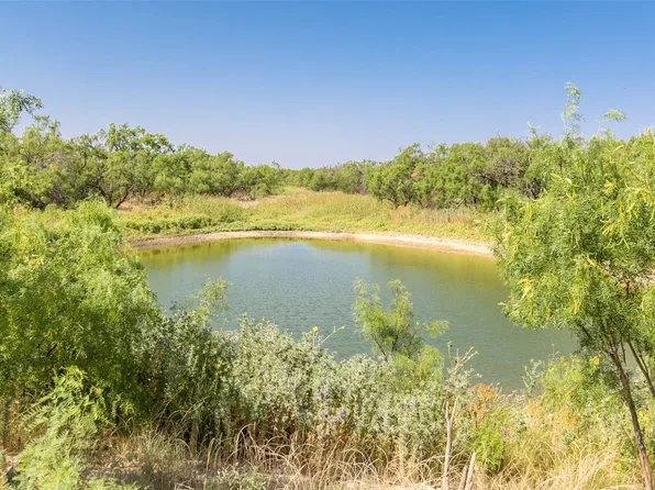 20775 County Road 1445, Paint Rock, TX 76866