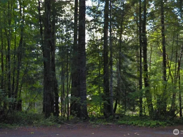 0 Cottonwood Road, Packwood, WA 98361