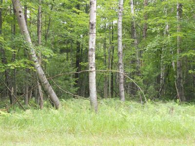 Parcel 1 Springwood, Prudenville, MI, 48651