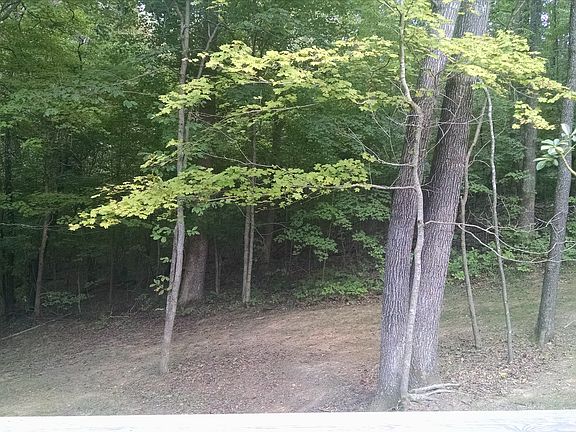 4th image of 427 Needlewood Dr