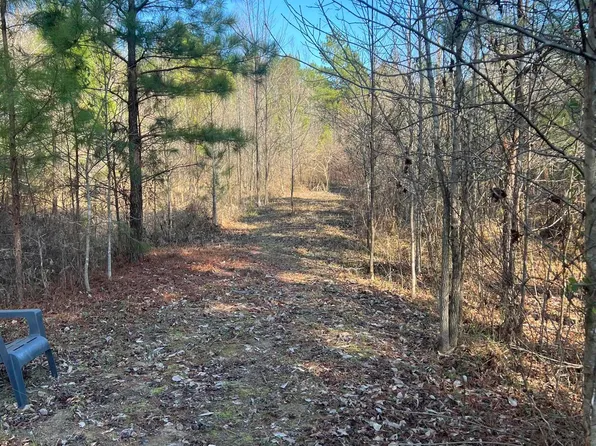 Antioch Rd, Bismarck, AR 71929