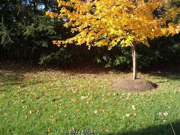 4th image of 6804 Brindle Heath Way #263
