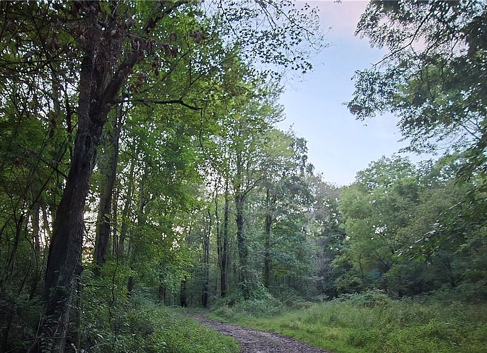 1st image of 2 Taggert Rd