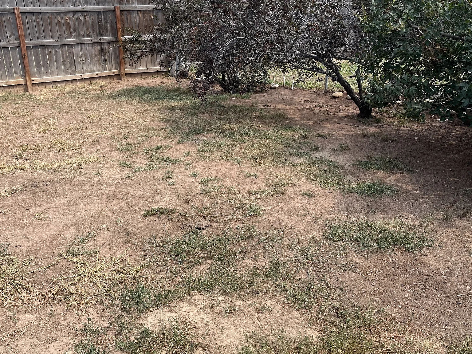 1600-1602 Azalea Dr - 1600 — Photo 3