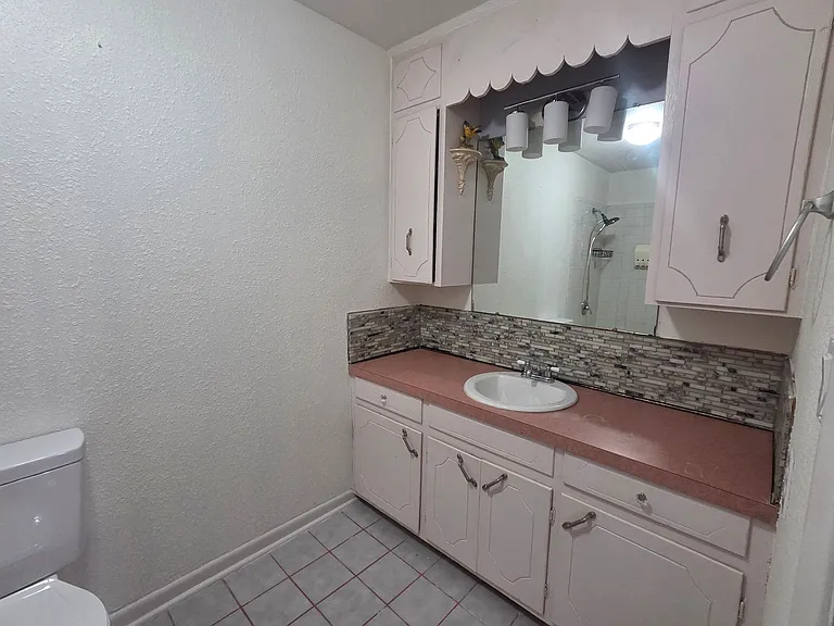 450 Plum Hollow Blvd — Photo 16