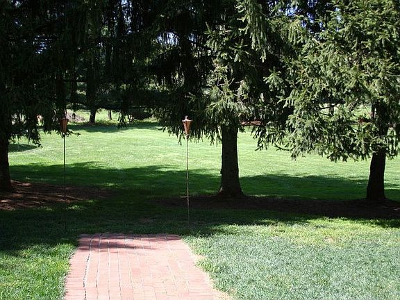 Yard from deck stairs
