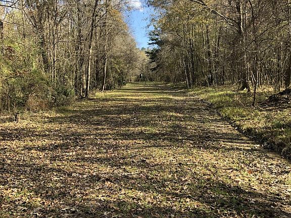 Access road/food plot