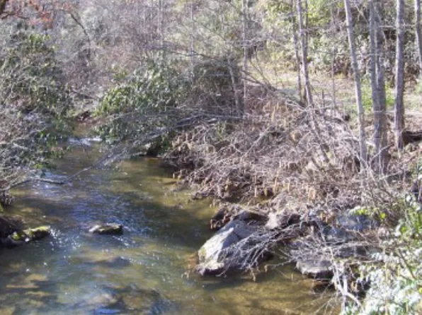 449 Middle Burningtown Rd, Franklin, NC 28734