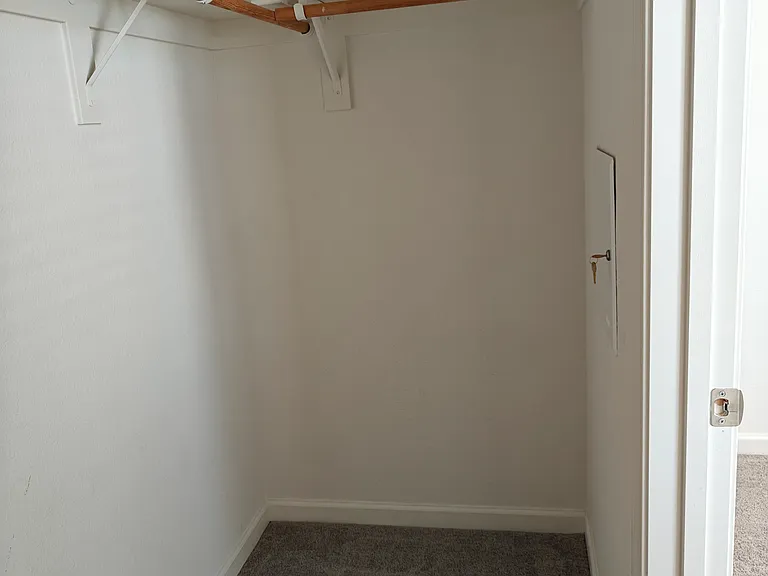Spacious Walk in closet in the bedroom