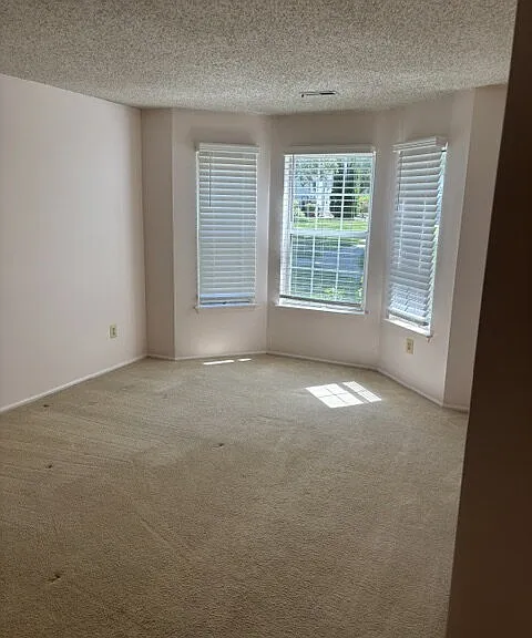 133 Tulip Ln — Photo 13