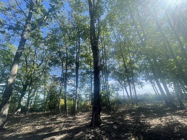 0 Eagle Rock Rd Lot 16, Monteagle, TN 37356