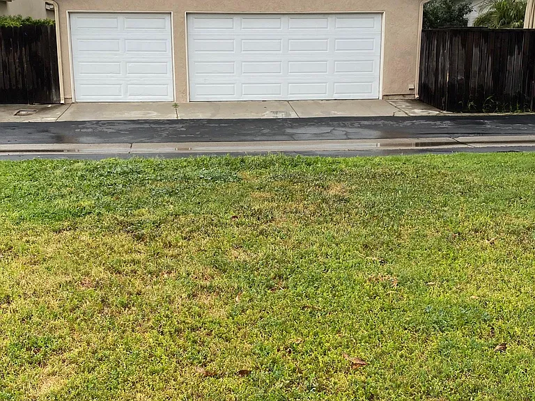 Three car garage viewed from green belt behind house.