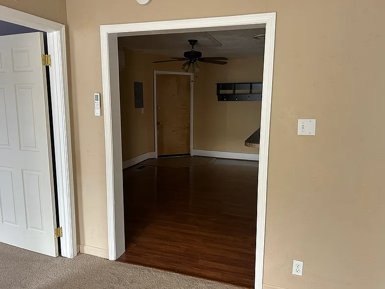 117 W Grand River Ave #1 — Photo 5