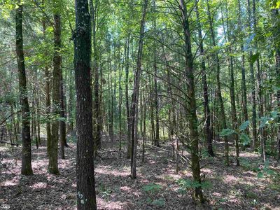0 Bailey Hollow Rd, Bee Branch, AR, 72013