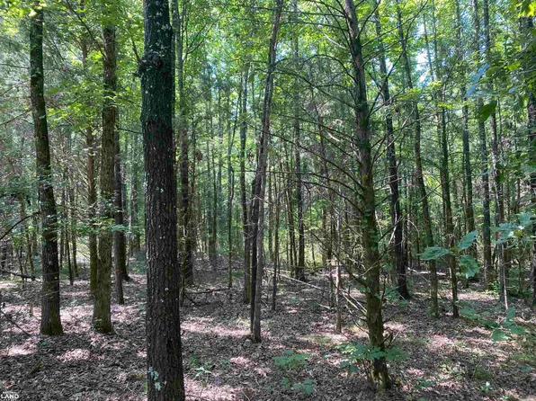 0 Bailey Hollow Rd, Bee Branch, AR 72013